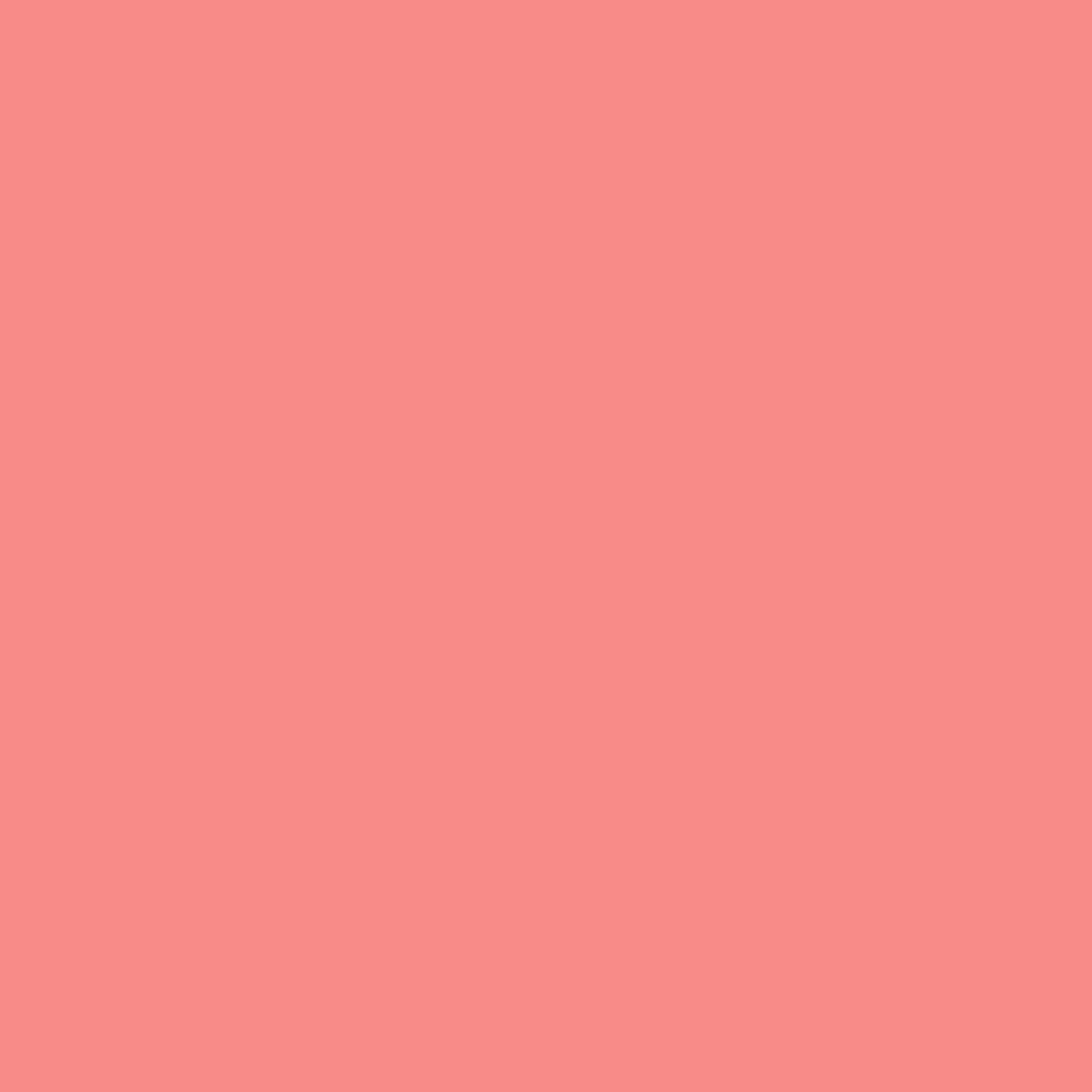 Pink Peach 2009-40 - Paint Colour – Thornhill Paint Supplies
